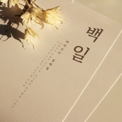 기회의 카드